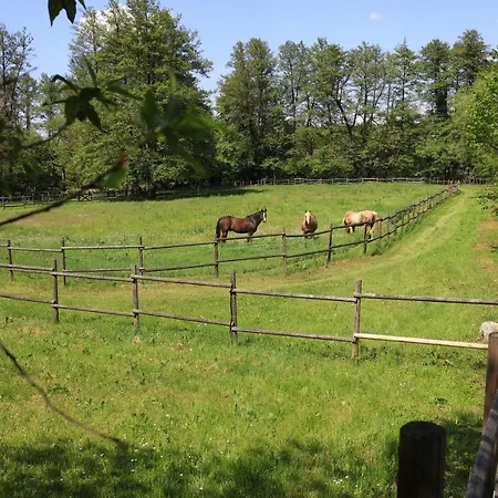 Amigosranch