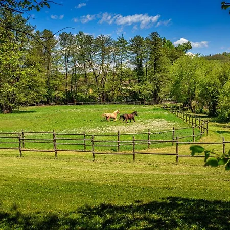 Amigosranch Krusevac